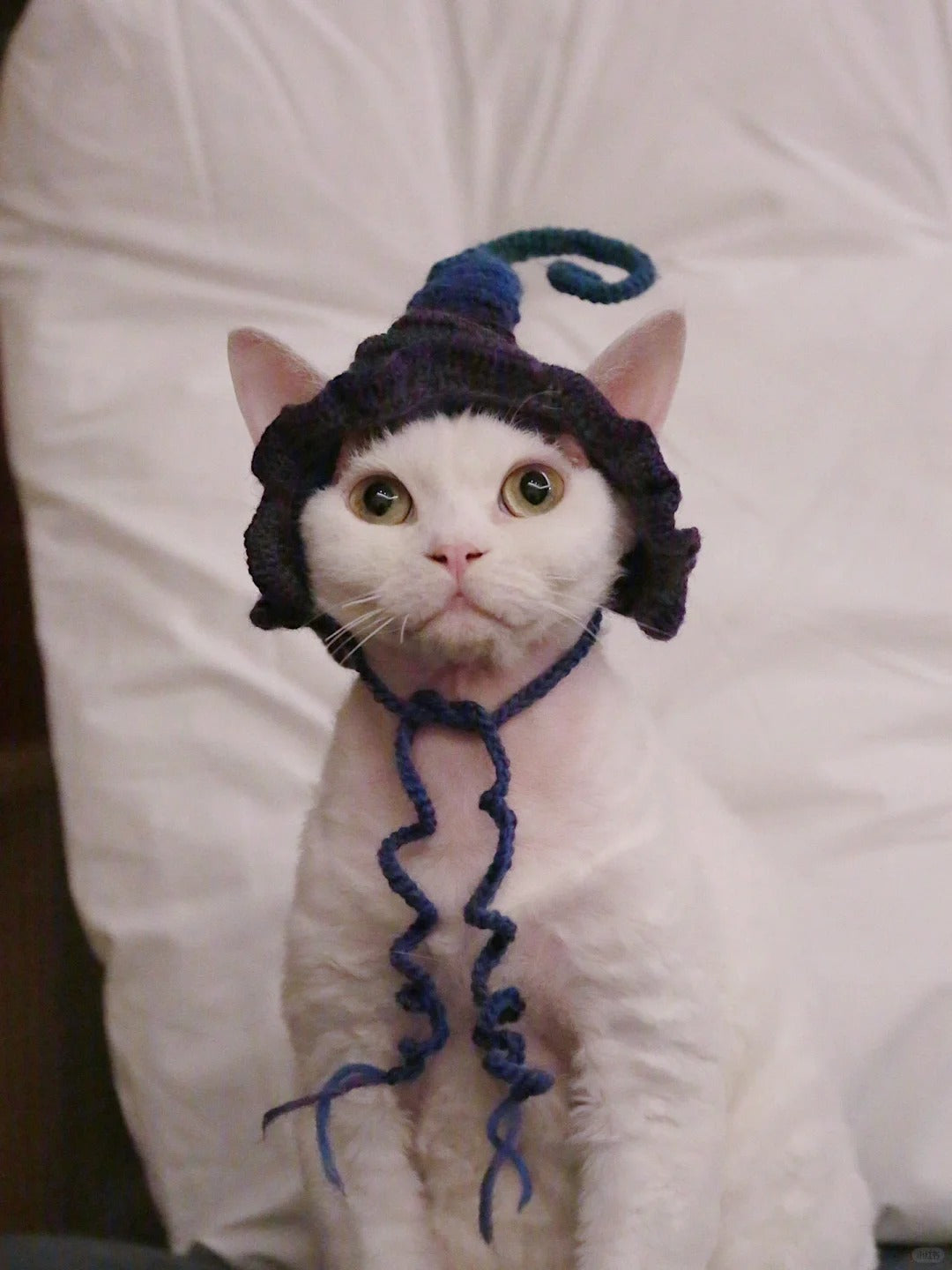 Halloween Pet Witch Hat Crochet Diagram   (free crochet pattern)
