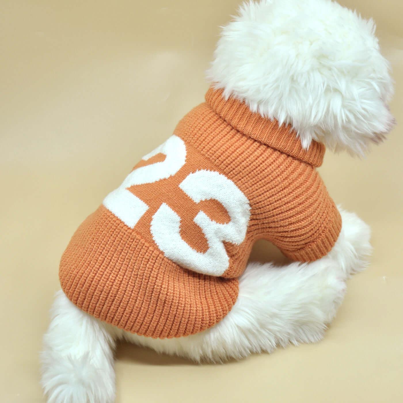 Pet dog night walks glow-in-the-dark safety clothing - BlingBlingYarn