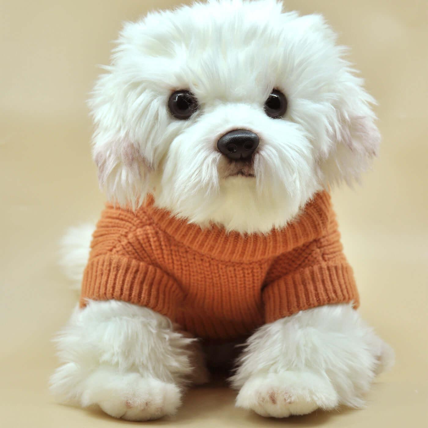 Pet dog night walks glow-in-the-dark safety clothing - BlingBlingYarn