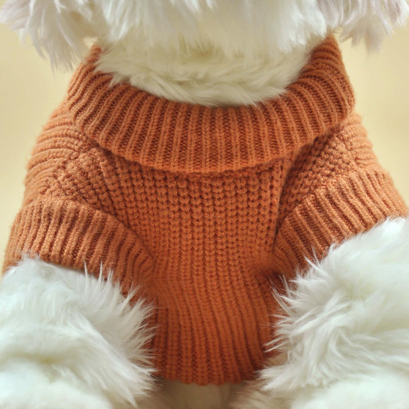 Pet dog night walks glow-in-the-dark safety clothing - BlingBlingYarn