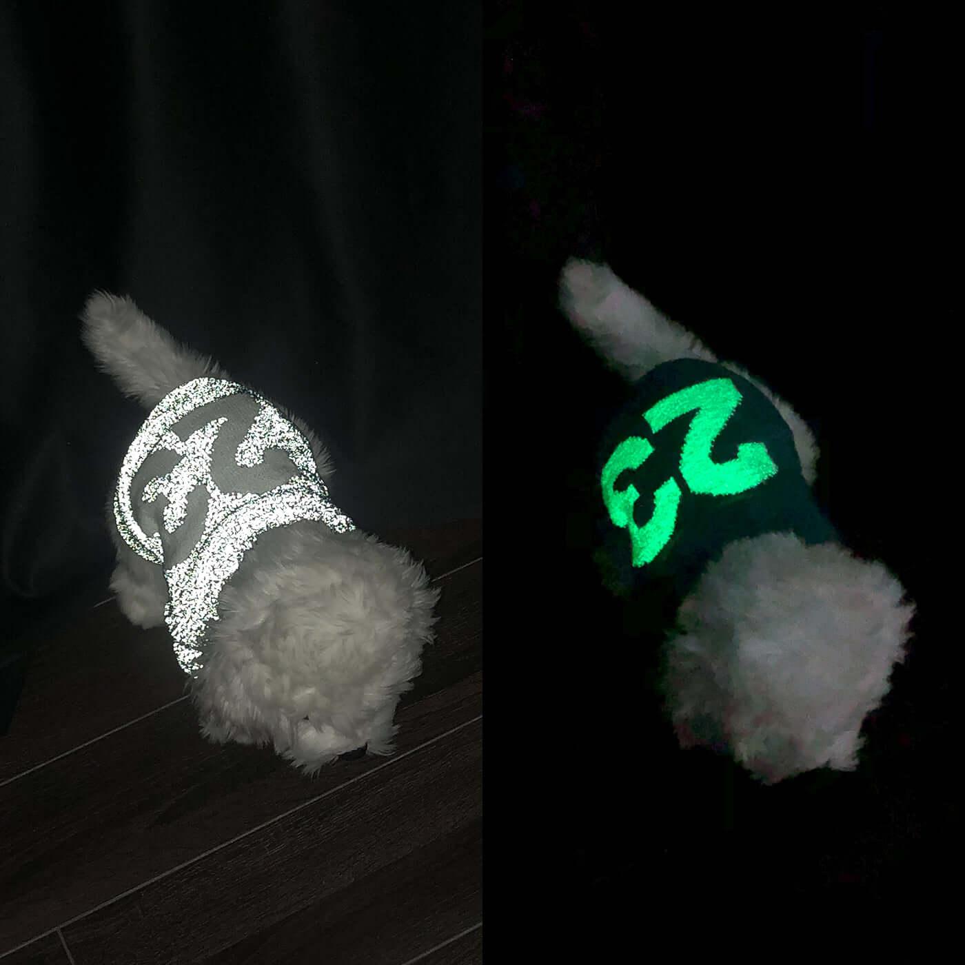 Pet dog night walks glow-in-the-dark safety clothing