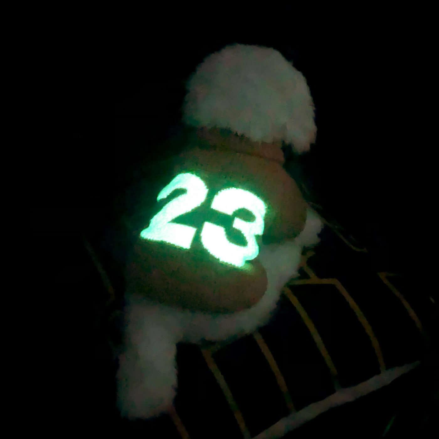 Pet dog night walks glow-in-the-dark safety clothing