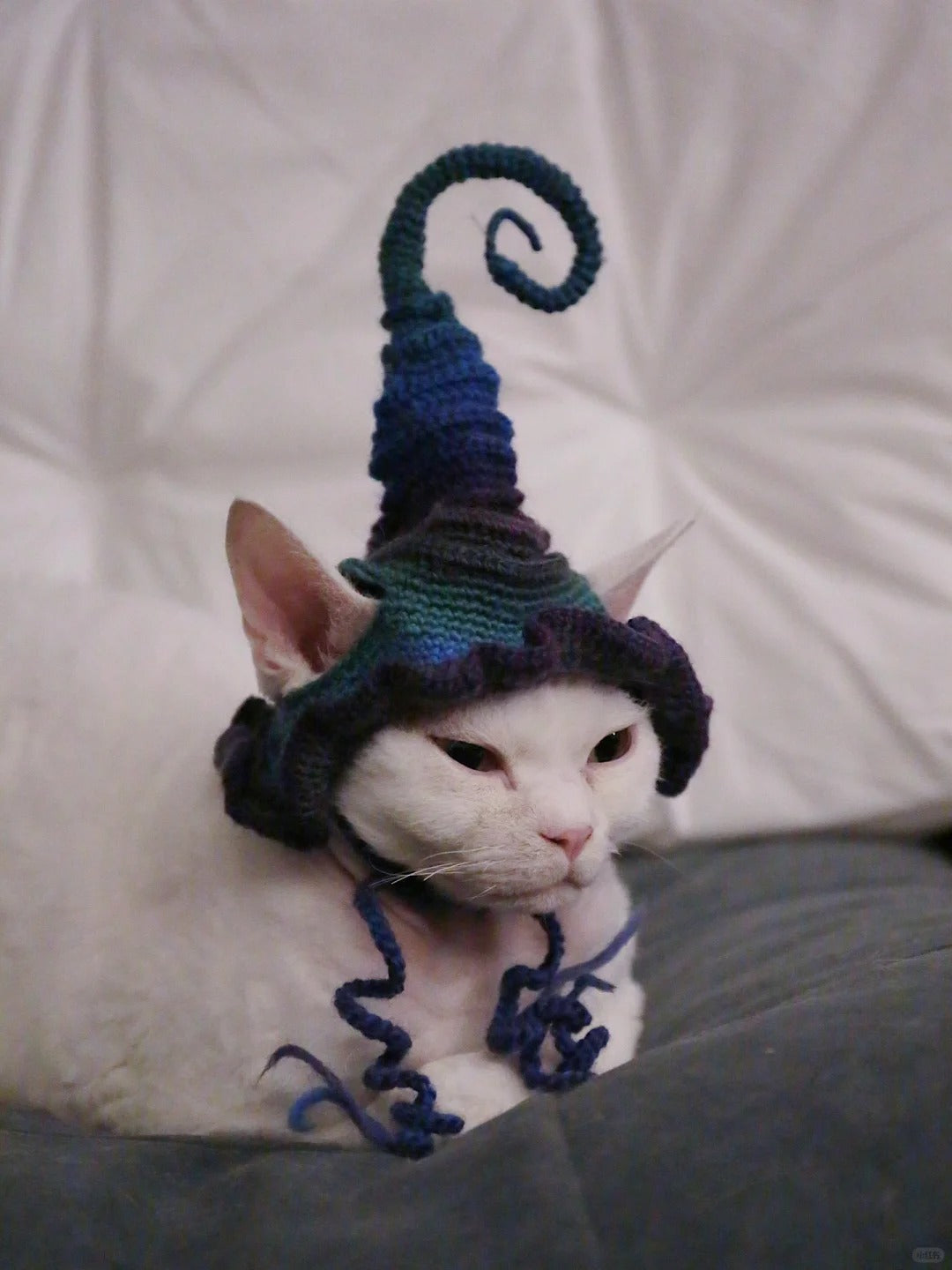 Halloween Pet Witch Hat Crochet Diagram   (free crochet pattern)