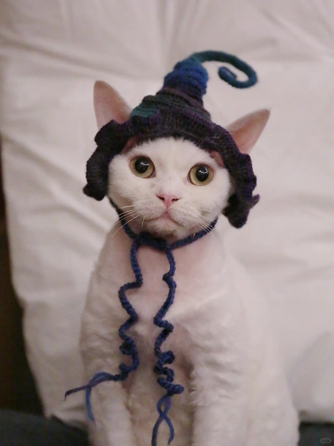 Halloween Pet Witch Hat Crochet Diagram   (free crochet pattern)
