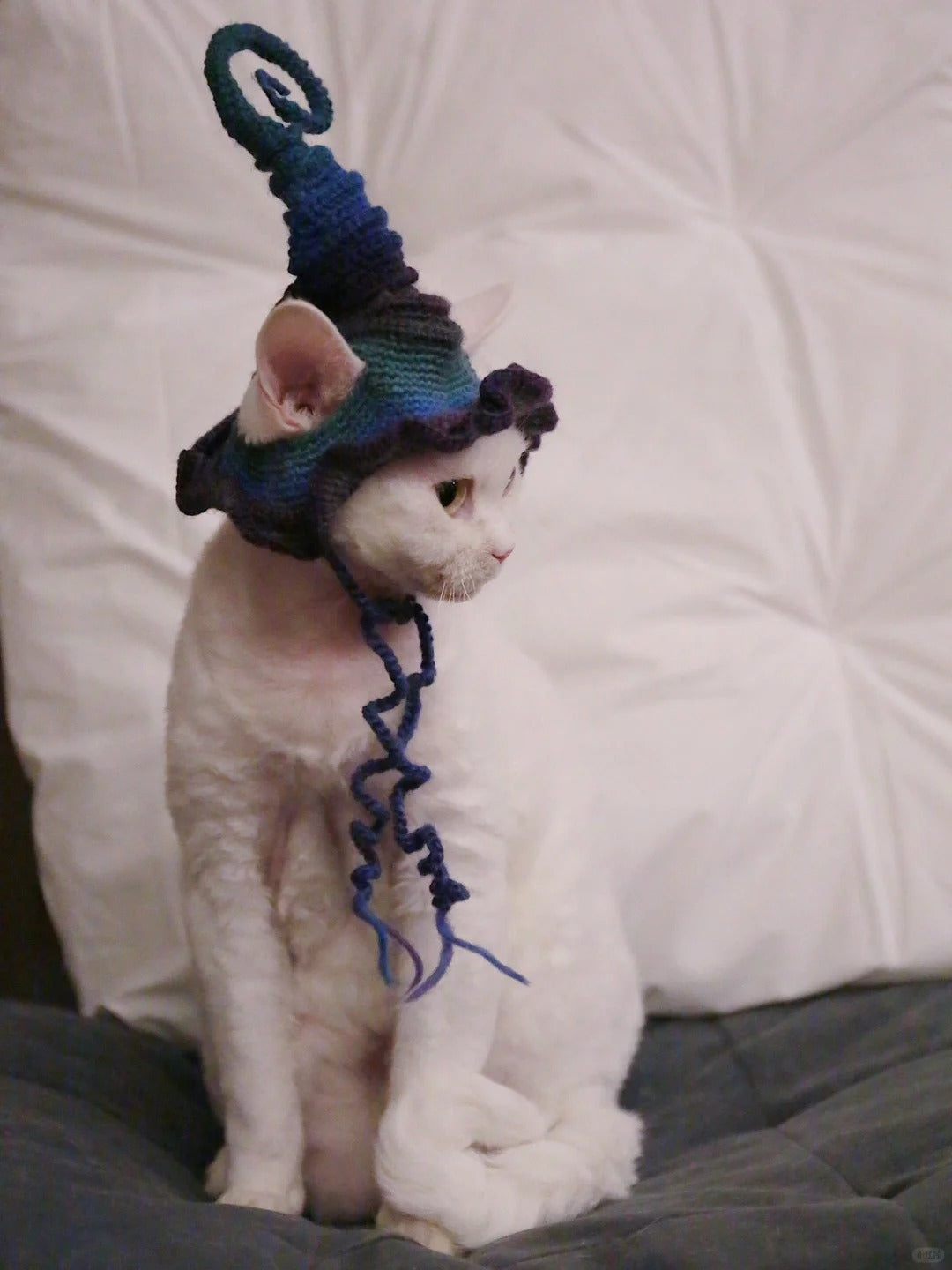 Halloween Pet Witch Hat Crochet Diagram   (free crochet pattern)