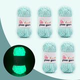 High Gloss Polyester Glow in the Dark Yarn(5PCS) - BlingBlingYarnHigh Gloss Polyester Glow in the Dark Yarn(5PCS)yarnBlingBlingYarnBlingBlingYarnYGMX28-006-5